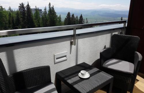 Strbske Pleso Apartment | Apartmán Panorama 308