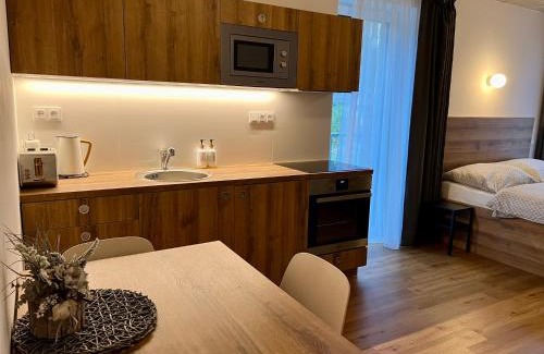 Vrchlabi Apartment | Apartmán pod sjezdovkou