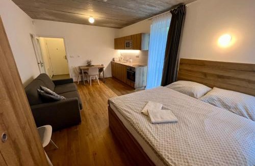 Vrchlabi Apartment | Apartmán pod sjezdovkou