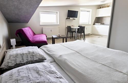 Velky Slavkov House | Apartmán Theo