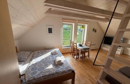 Pavlov Apartment | Apartmán U Venuše
