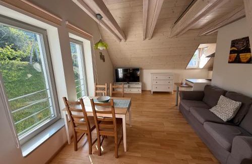 Pavlov Apartment | Apartmán U Venuše