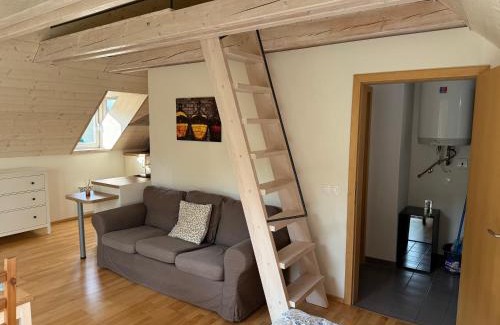 Pavlov Apartment | Apartmán U Venuše
