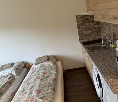 Karlovy Vary Apartment | Apartmán v Karlových Varech pro 2 osoby, free wifi