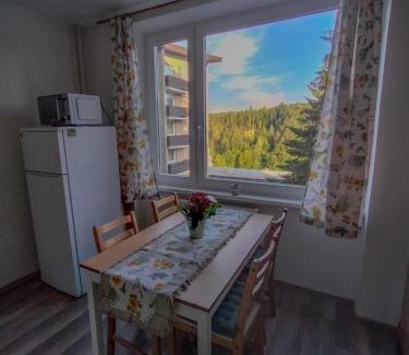 Janske Lazne Apartment | Apartmánek Protěž