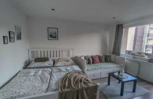 Janske Lazne Apartment | Apartmánek Protěž