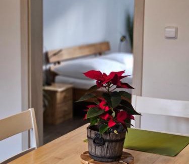 Kasperske Hory Apartment | Apartmány Karolína - Kašperské Hory