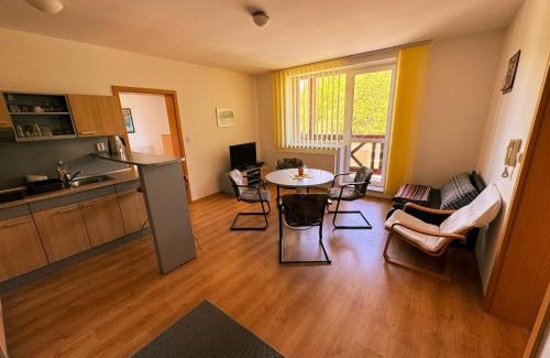 Velky Slavkov Apartment | Apartmány Slavkov - Dolný Smokovec