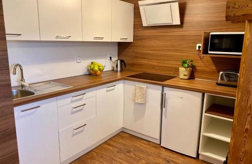 Horni Lipova Apartment | Apartmány U Dvou Smrků