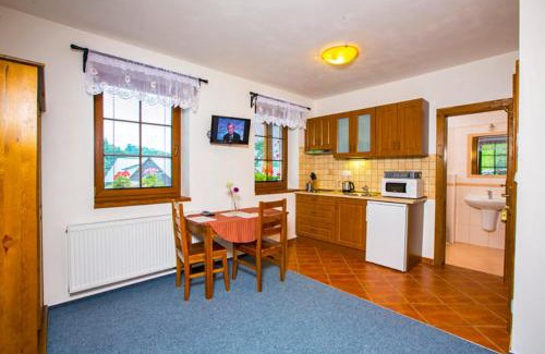 Rokytnice nad Jizerou Apartment | Apartmány Udatný