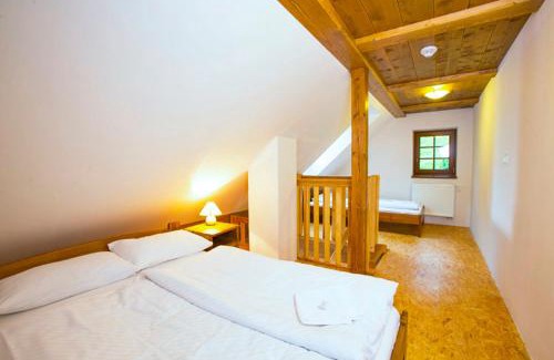 Rokytnice nad Jizerou Apartment | Apartmány Udatný