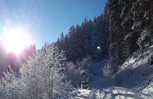 Sankt Margarethen im Lungau Apartment | Apartment in Lungau near Ski Slopes
