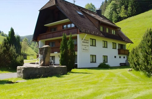 Bad Rippoldsau-Schapbach Apartment | Apartment '4' with Mountain View, Shared Terrace and Wi-Fi