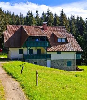 Paka Apartment | Apartma Jurček Rogla
