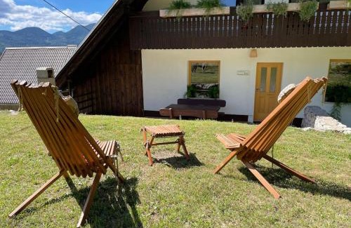 Koprivnik v Bohinju Apartment | Apartma Korošec