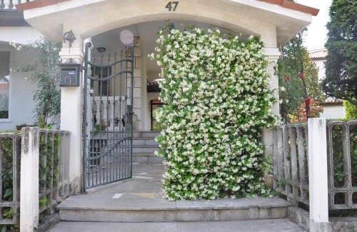 Izola Apartment | Apartmaji Štamcar