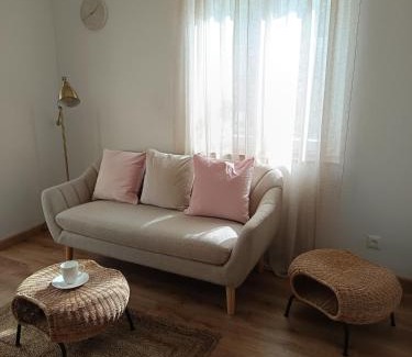 Razanj Apartment | Apartman Đani