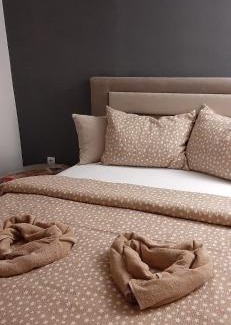 Leskovac Apartment | Apartman Živković