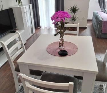 Kragujevac Apartment | Apartman 007