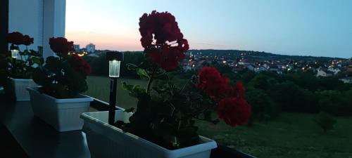 Mladenovac Apartment | Apartman 022