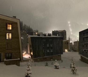 Bjelasnica Apartment | ApartMaN 11,free garage,ski to door