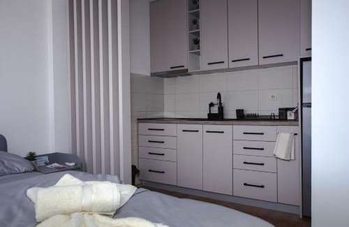Kraljevo Apartment | Apartman 21