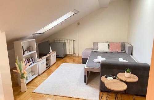 Sremska Mitrovica Apartment | Apartman 22 22