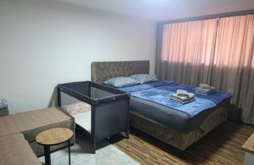 Mali Radic Apartment | Apartman 4A