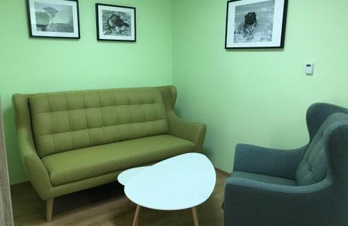 Velky Slavkov Apartment | Apartman AiA