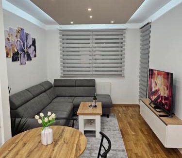 Pale Apartment | Apartman Aleksej Pale Jahorina