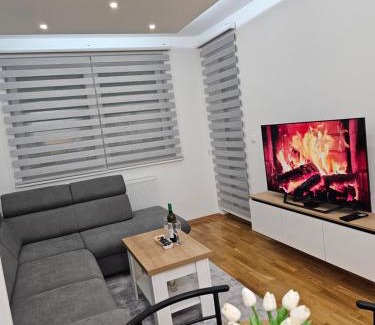 Pale Apartment | Apartman Aleksej Pale Jahorina