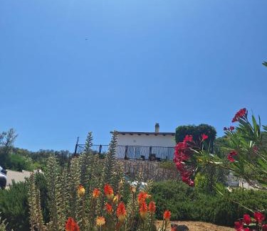 Drace Apartment | Apartman Alemka