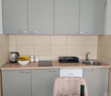Pluzine Apartment | Apartman Andjela
