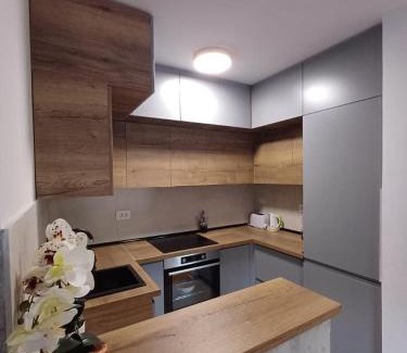 Arandelovac Apartment | Apartman ARISTEA