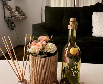 Babanovac Apartment | Apartman Arya Vlasic