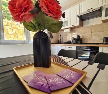 Soko Banja Apartment | Apartman Berlin Sokobanja 2