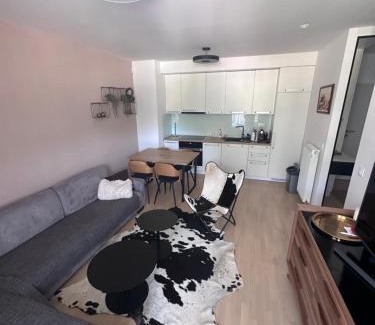 Bjelasnica Apartment | Apartman Bjelašnica