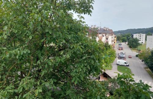 Krapinske Toplice Apartment | Apartman Buba