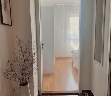 Ljubuski Apartment | Apartman Cherry