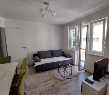 Canton 10 Apartment | Apartman Cincar