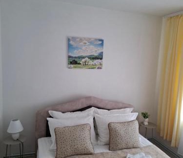 Sremska Mitrovica Apartment | Apartman Demetra