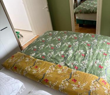 Sremska Mitrovica Apartment | Apartman Diana