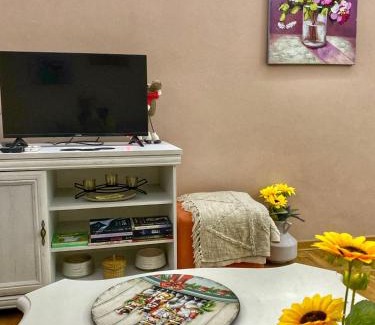 Sremska Mitrovica Apartment | Apartman Diana