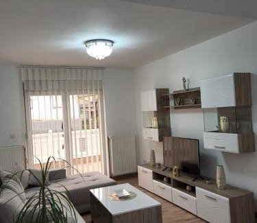 Golubac Apartment | Apartman Djuric