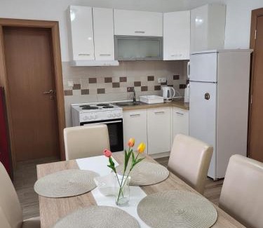 Golubac Apartment | Apartman Djuric