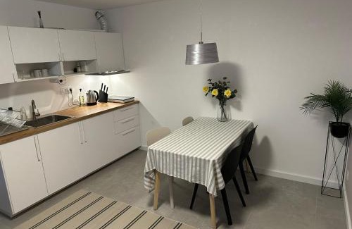 Dorcol Apartment | Apartman Dorćol VS60