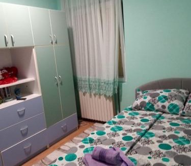 Bajina Basta Apartment | Apartman Dunja