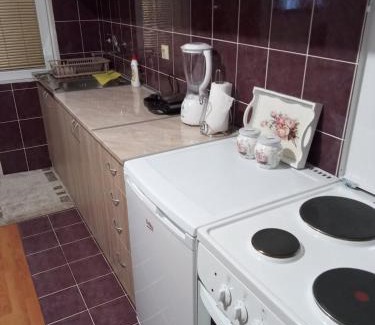 Bajina Basta Apartment | Apartman Dunja
