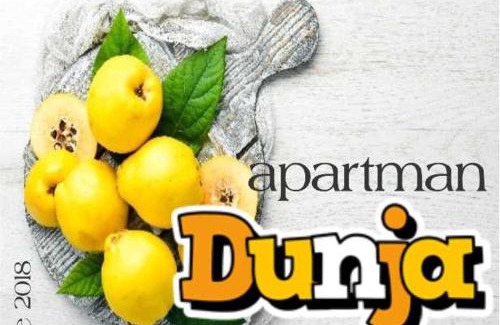 Vranje Apartment | Apartman DUNJA