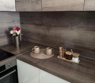 Vranje Apartment | Apartman Golden Crown